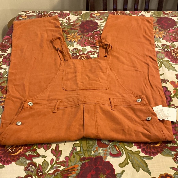 Brand new American Eagle wide leg overall size M. With tags. - Picture 1 of 4